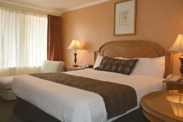 Oasis Inn and Suites 6